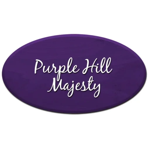 Unicorn Spit Flat Purple Gel Stain and Glaze 4 oz. (Pack of 6)