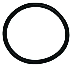 Vac Belt Bissell Bg Ser
