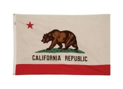 Valley Forge California State State Flag 36 in. H X 60 in. W