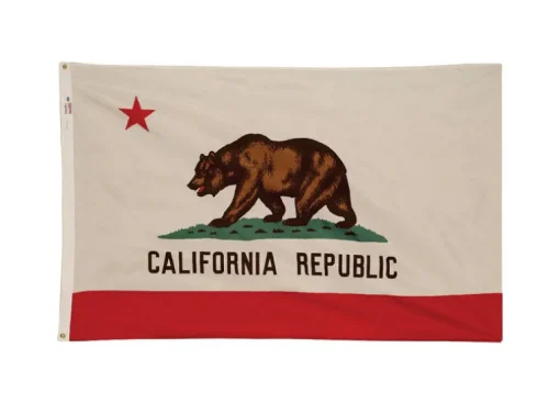 Valley Forge California State State Flag 36 in. H X 60 in. W