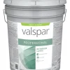 Valpro Ext Sat N Bse 5gl