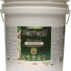 WAE 5GAL SG Tint Base