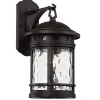 WALL LANT BK 60W 16.25"H