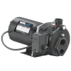 Wayne 1/2 HP 900 gph Cast Iron Convertible Jet Well Pump