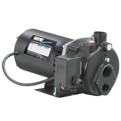 Wayne 1/2 HP 900 gph Cast Iron Convertible Jet Well Pump