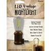 Westek Automatic Plug-in Vintage Edison LED Night Light