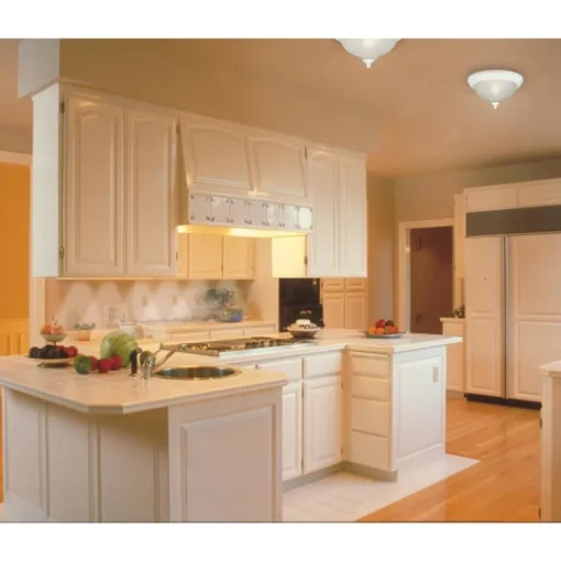 Westinghouse 8 in. H X 11 in. W X 11.8 in. L Ceiling Light