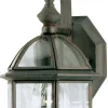 Westinghouse 6985600 Rust One-Light Exterior Wall Lantern