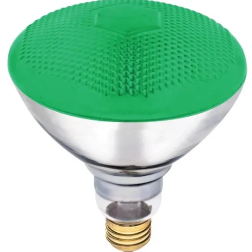 Westinghouse 100 W E26 Reflector Incandescent Bulb E26 (Medium) Green 1 pk