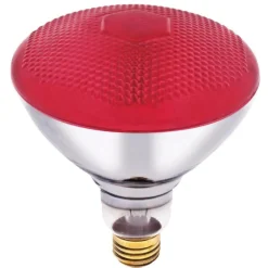 Westinghouse 100 W E26 Reflector Incandescent Bulb E26 (Medium) Red 1 pk