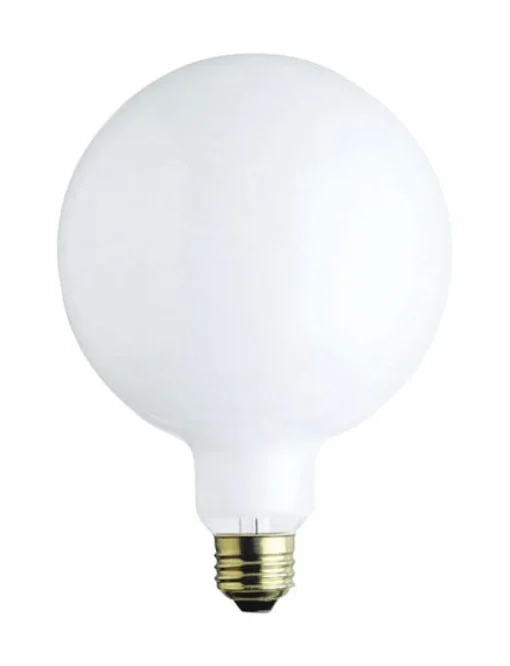 Westinghouse 60 W G40 Globe Incandescent Bulb E26 (Medium) White 1 pk