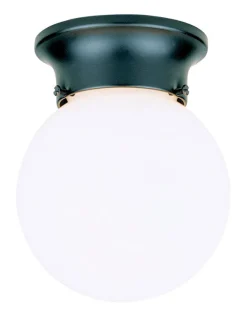 Westinghouse Gloss Black Incandescent Light Fixture