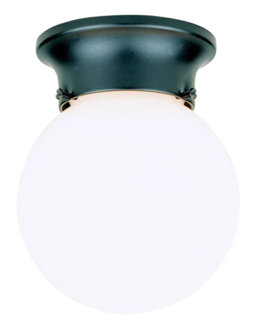 Westinghouse Gloss Black Incandescent Light Fixture