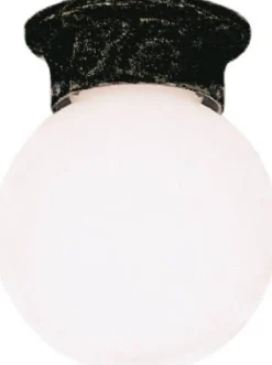 Westinghouse Gloss Black Incandescent Light Fixture