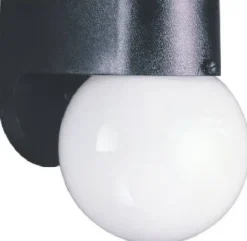 Westinghouse Gloss Black/White Switch Incandescent Light Fixture