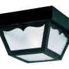 Westinghouse Matte Black Switch Incandescent Light Fixture