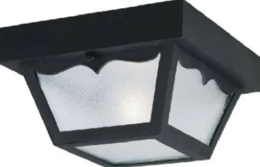 Westinghouse Matte Black Switch Incandescent Light Fixture
