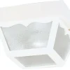 Westinghouse Matte White Switch Incandescent Light Fixture