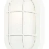 Westinghouse Matte White Switch Incandescent Light Fixture