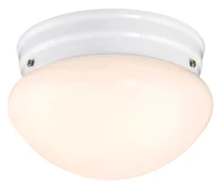Westinghouse Polished Switch LED Light Fixture