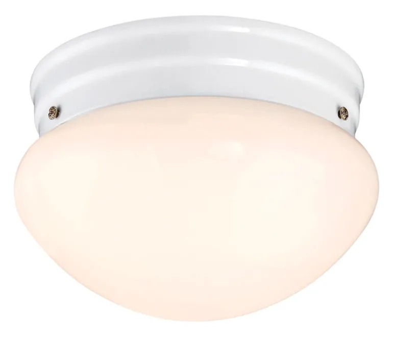 Westinghouse Polished Switch LED Light Fixture