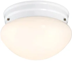 Westinghouse Polished Switch LED Light Fixture