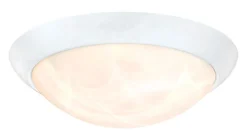 Westinghouse Polished White Switch LED Light Fixture