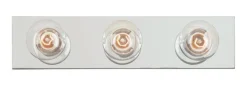 Westinghouse Silver 120V 100W 3-Lights Incandescent Bathroom Bar Fixture 4.5 H x 18 W x 5.25 D in.