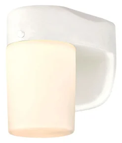 Westinghouse White Dusk to Dawn LED Lantern Fixture