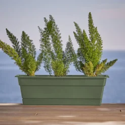 WINDOW BOX GRN 24