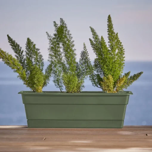 WINDOW BOX GRN 24"