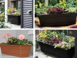 WINDOW BOX GRN 24