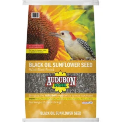WLD BRD FOOD SNFLW 10LB