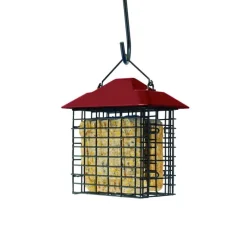 Woodlink Metal/Plastic Double Suet Basket