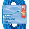 Woods Indoor or Outdoor 100 ft. L Blue Extension Cord 12/3