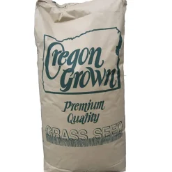 X-Seed Light Green Medium Fine Texture Full Sun/Light Shade Grass Seed Annual Ryegrass 25 lbs.