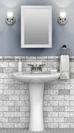 Zenith W231 Zenith 22.38 In. H X 16.38 In. W X 5 In. D Rectangle Medicine Cabinet