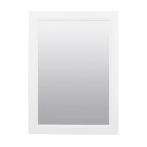 Zenith W231 Zenith 22.38 In. H X 16.38 In. W X 5 In. D Rectangle Medicine Cabinet