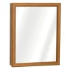 Zenna Home 19.25 in. H X 15.5 in. W X 4.5 in. D Rectangle Medicine Cabinet/Mirror