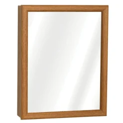 Zenna Home 19.25 in. H X 15.5 in. W X 4.5 in. D Rectangle Medicine Cabinet/Mirror
