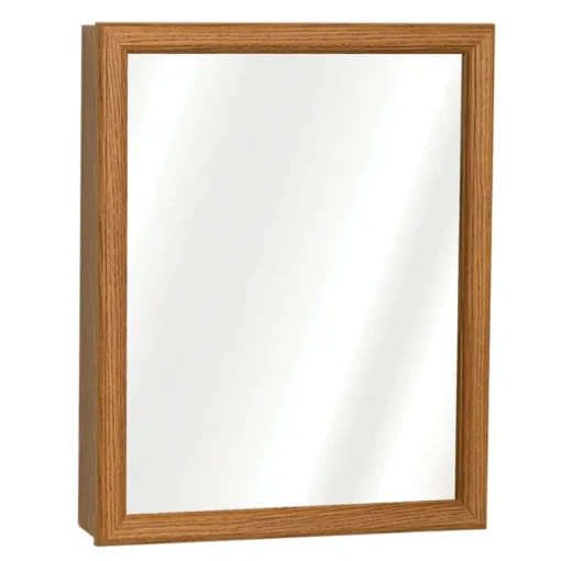 Zenna Home 19.25 in. H X 15.5 in. W X 4.5 in. D Rectangle Medicine Cabinet/Mirror