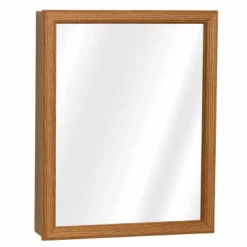 Zenna Home 19.25 in. H X 15.5 in. W X 4.5 in. D Rectangle Medicine Cabinet/Mirror