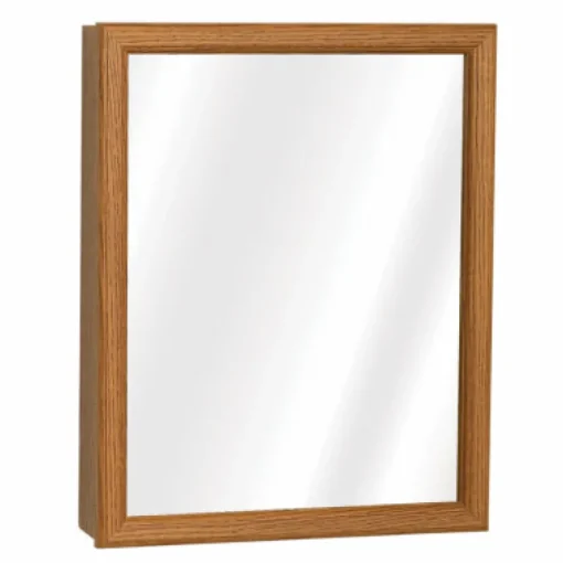 Zenna Home 19.25 in. H X 15.5 in. W X 4.5 in. D Rectangle Medicine Cabinet/Mirror