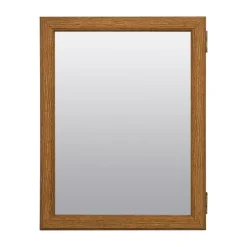 Zenna Home 19.25 in. H X 15.5 in. W X 4.5 in. D Rectangle Medicine Cabinet/Mirror